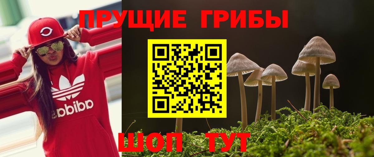 Псилоцибиновые грибы ЛСД Шали